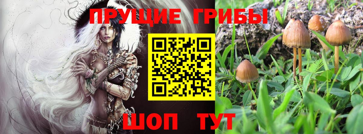 Осинники  Псилоцибиновые грибы Magic Shrooms  Вход с VPN 